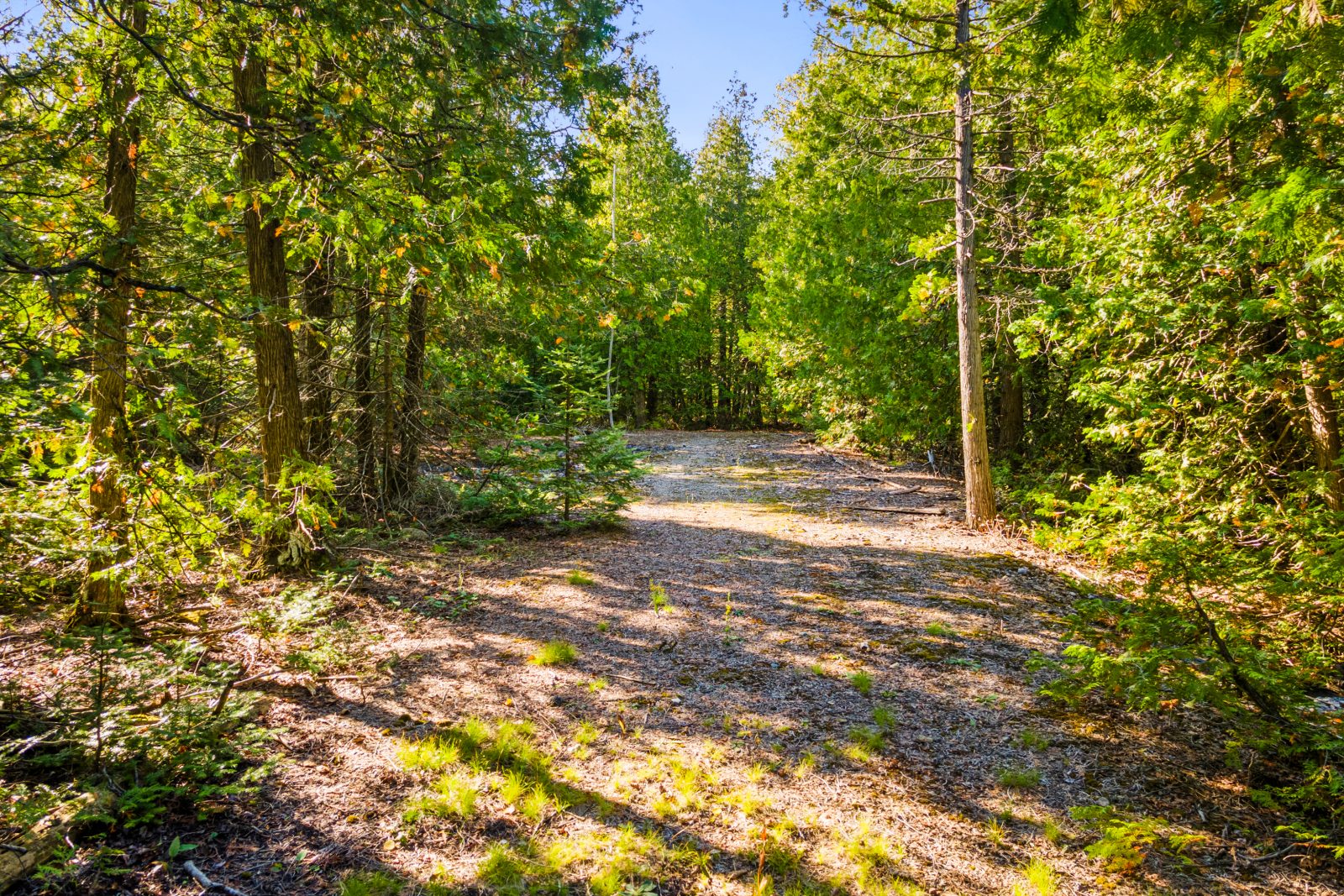 479 DYERS BAY ROAD