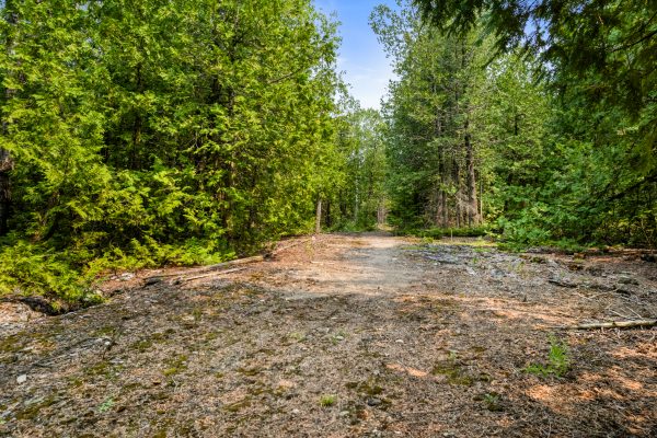479 DYERS BAY ROAD
