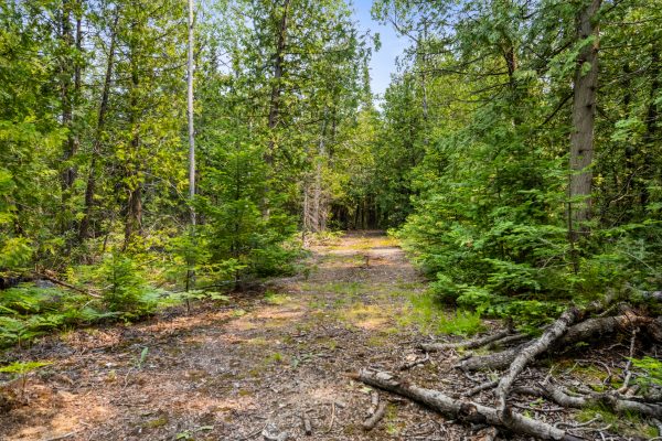 479 DYERS BAY ROAD