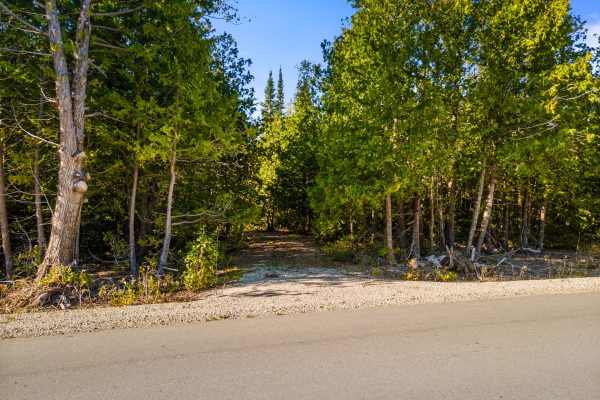 479 DYERS BAY ROAD