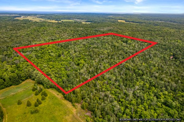 479 DYERS BAY ROAD