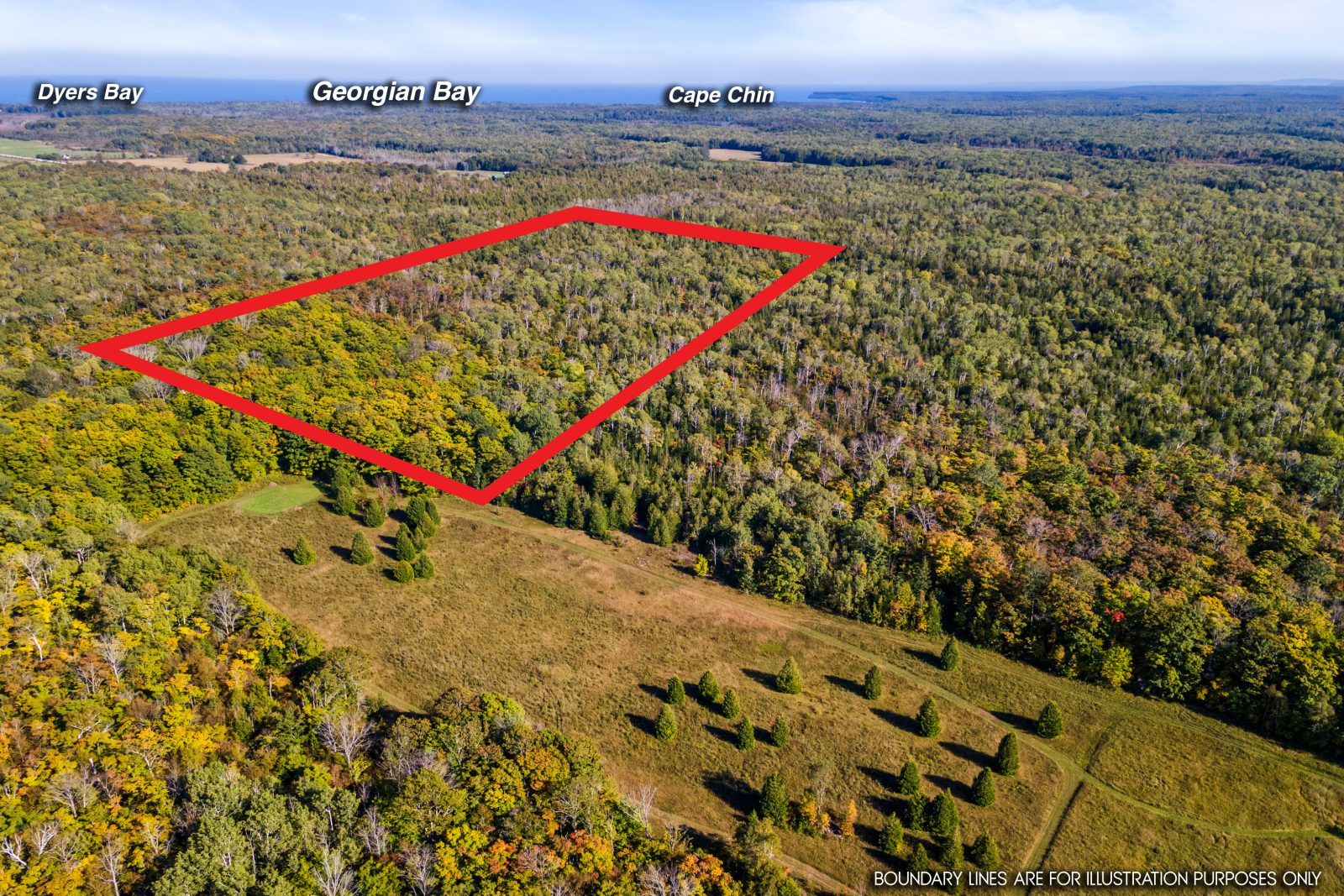 479 DYERS BAY ROAD
