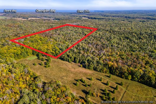 479 DYERS BAY ROAD