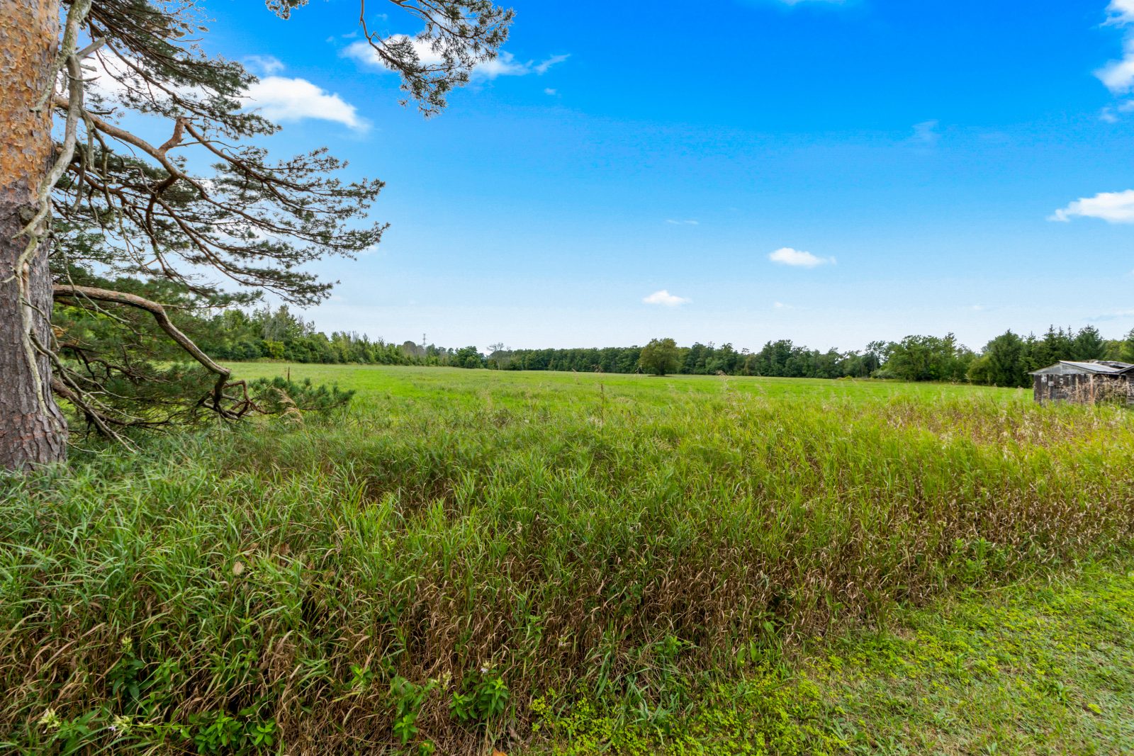 53 CONCESSION 4 ROAD