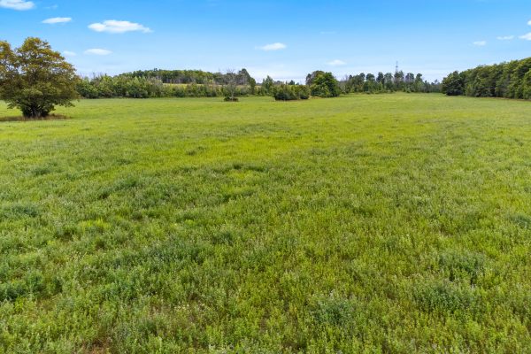 53 CONCESSION 4 ROAD