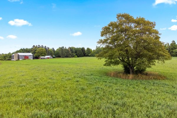 53 CONCESSION 4 ROAD