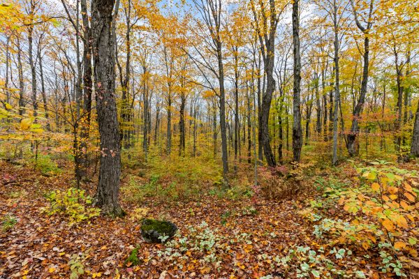 569263 SIDEROAD 6 ROAD