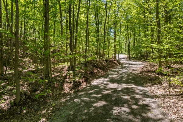 622829 MOTO PARK ROAD