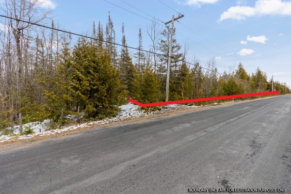 LOT 43 WARNER BAY ROAD