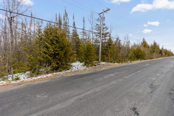 LOT 43 WARNER BAY ROAD