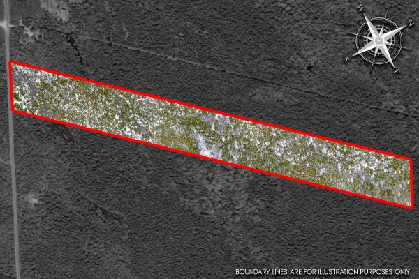 LOT 43 WARNER BAY ROAD