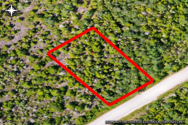 PART FARM LOT 4 CHI SIN TIB DEK ROAD
