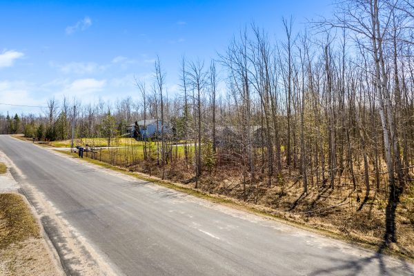 PART 28 MAPLE DRIVE
