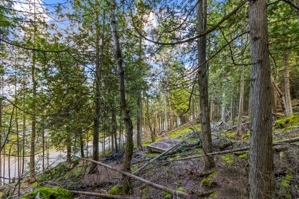 Part Lot 21 Cape Chin North Shore Road