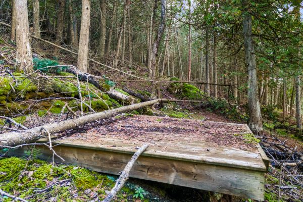 Part Lot 21 Cape Chin North Shore Road