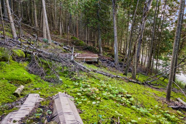 Part Lot 21 Cape Chin North Shore Road