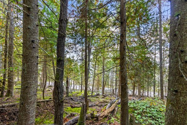 Part Lot 21 Cape Chin North Shore Road