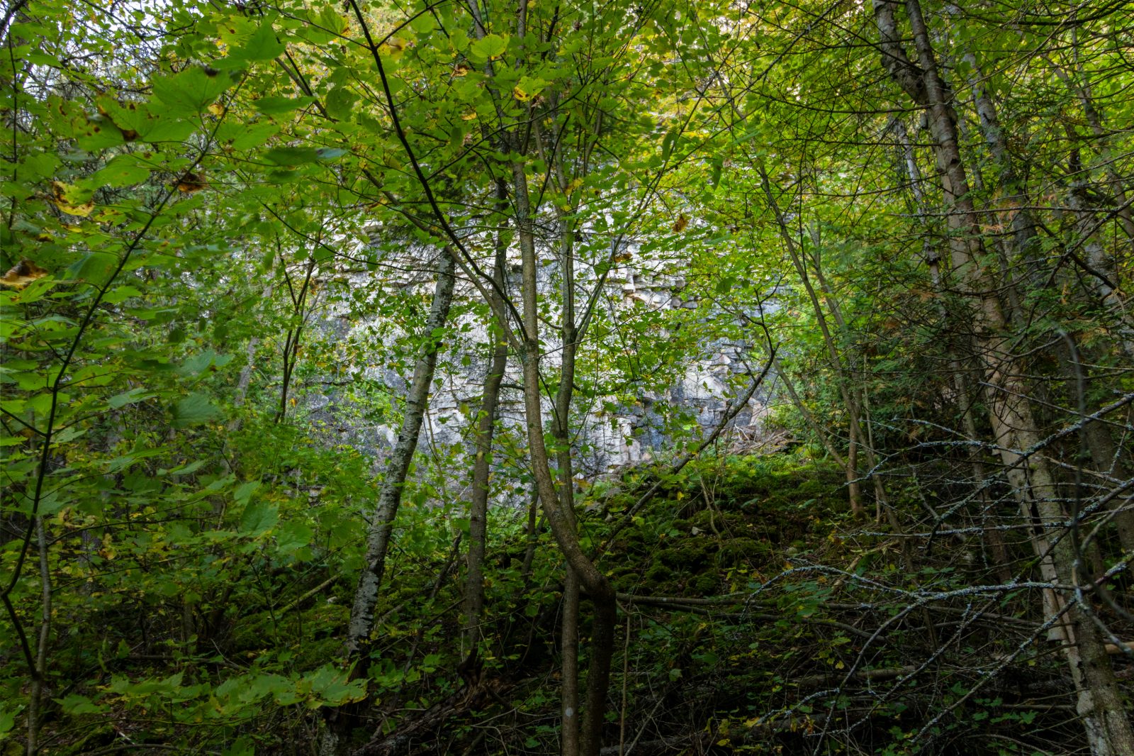 Part Lot 21 Cape Chin North Shore Road