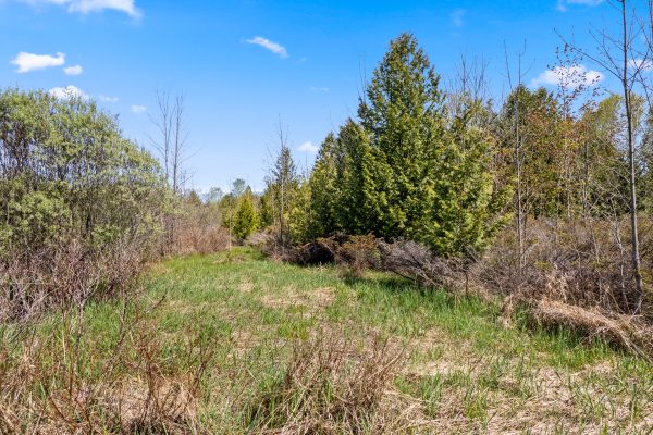 N/A SUTTER ROAD ROAD W