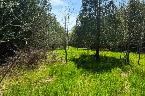 N/A SUTTER ROAD ROAD W
