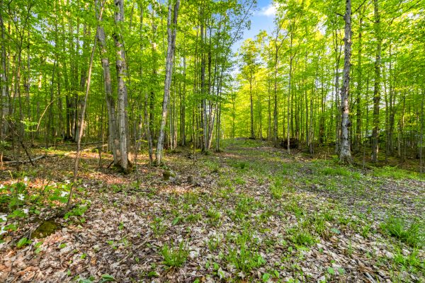 PART LOT 20 CONCESSION ROAD 14 CONCESSION