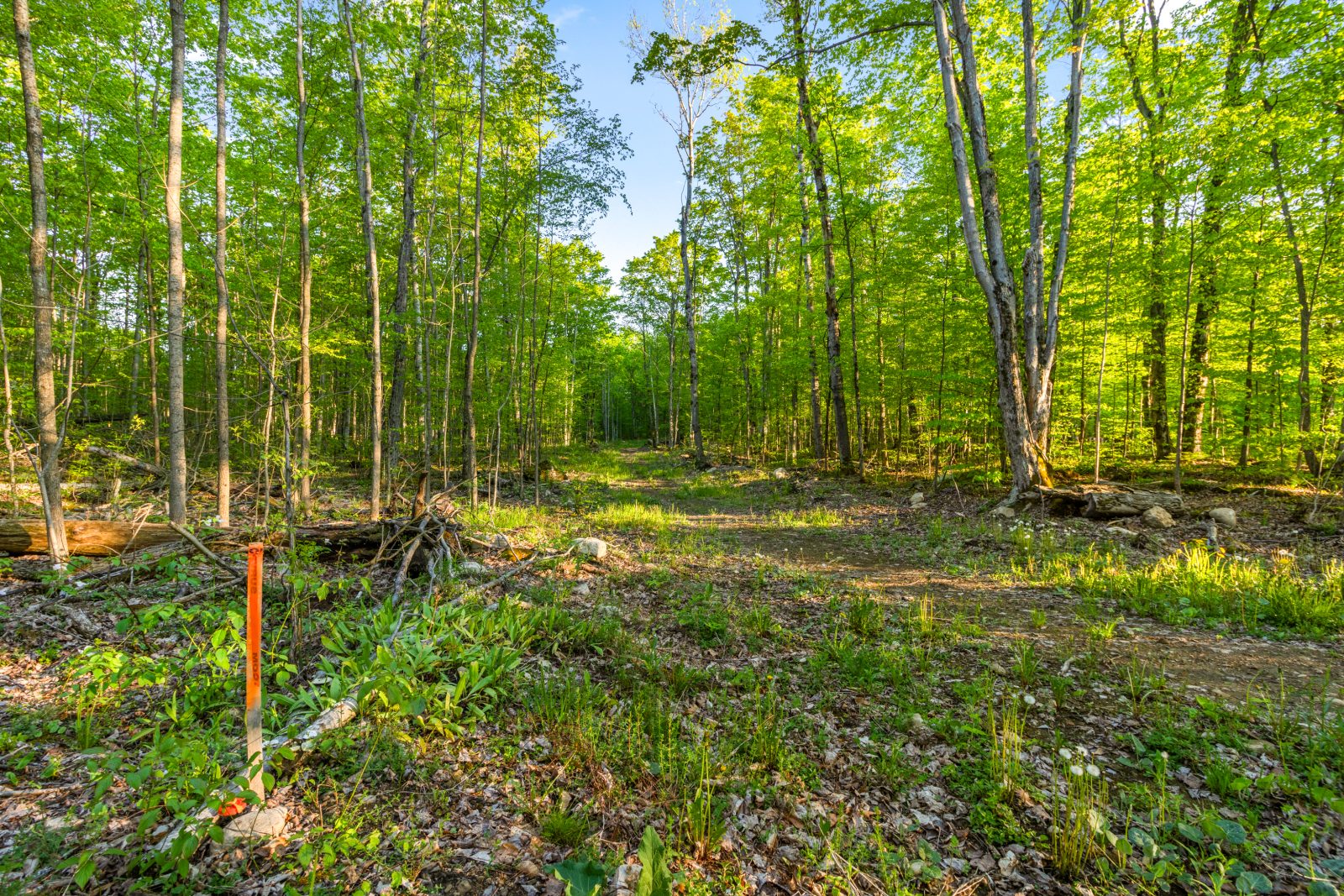PART LOT 20 CONCESSION ROAD 14 CONCESSION