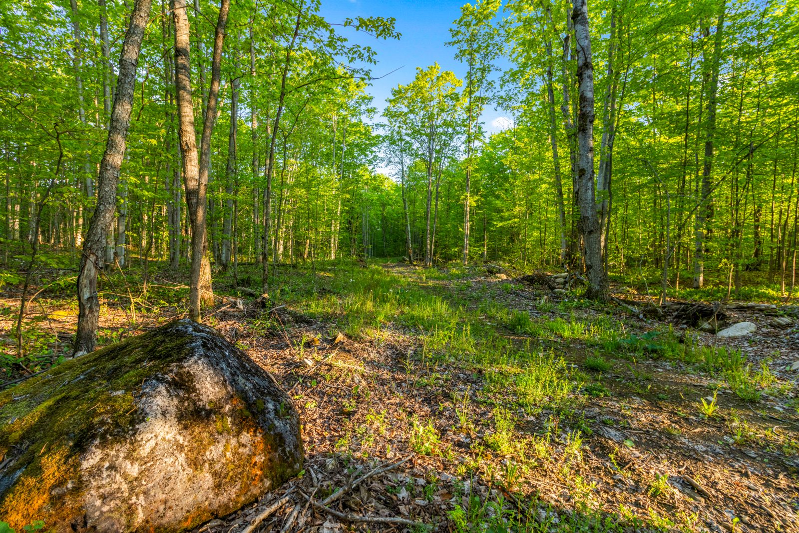 PART LOT 20 CONCESSION ROAD 14 CONCESSION