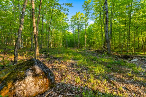 PART LOT 20 CONCESSION ROAD 14 CONCESSION