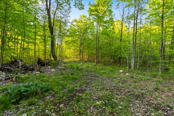 PART LOT 20 CONCESSION ROAD 14 CONCESSION