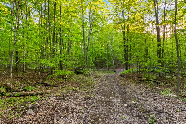 PART LOT 20 CONCESSION ROAD 14 CONCESSION