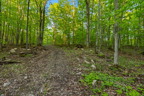 PART LOT 20 CONCESSION ROAD 14 CONCESSION