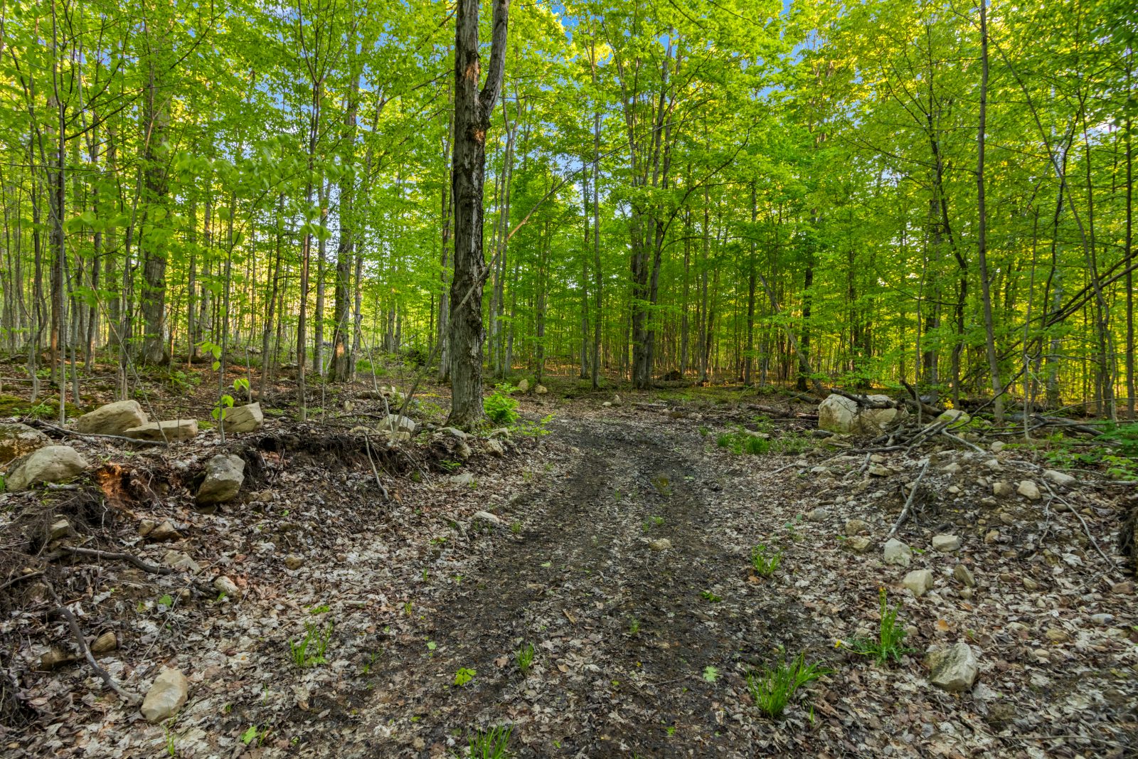 PART LOT 20 CONCESSION ROAD 14 CONCESSION