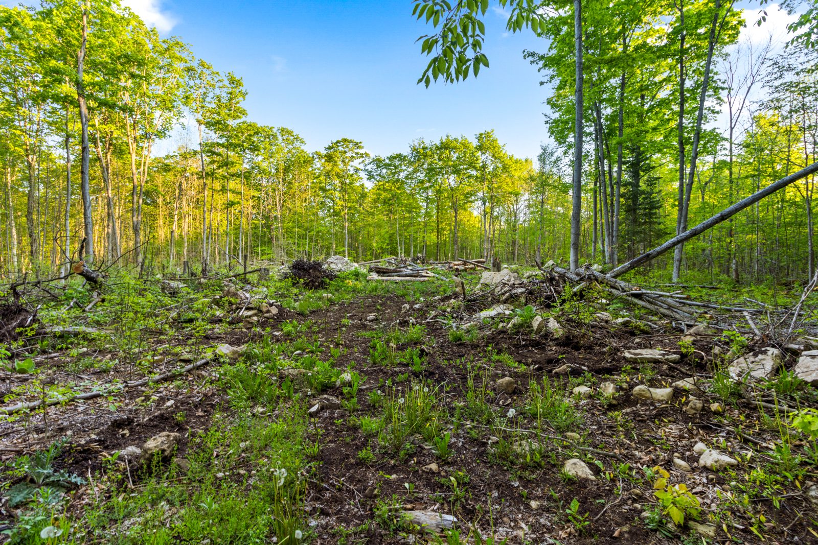 PART LOT 20 CONCESSION ROAD 14 CONCESSION