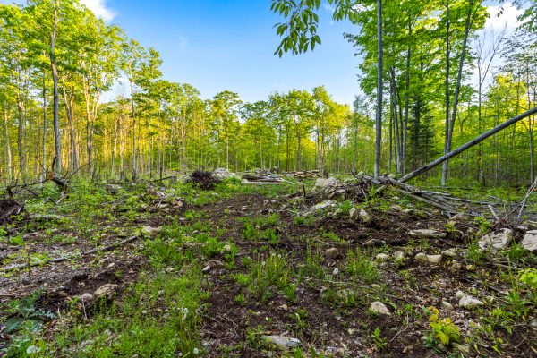 PART LOT 20 CONCESSION ROAD 14 CONCESSION