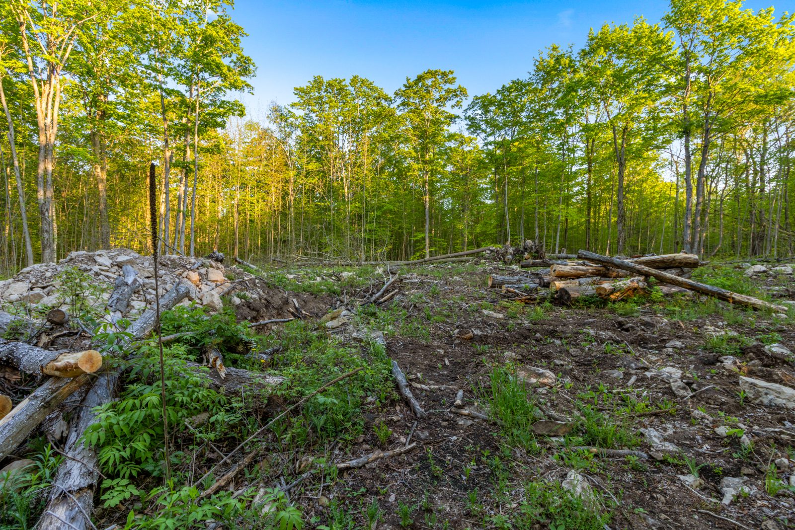PART LOT 20 CONCESSION ROAD 14 CONCESSION