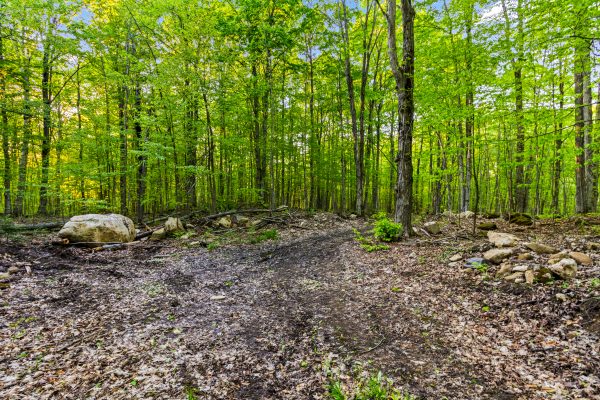 PART LOT 20 CONCESSION ROAD 14 CONCESSION
