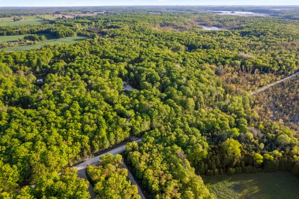 PART LOT 20 CONCESSION ROAD 14 CONCESSION