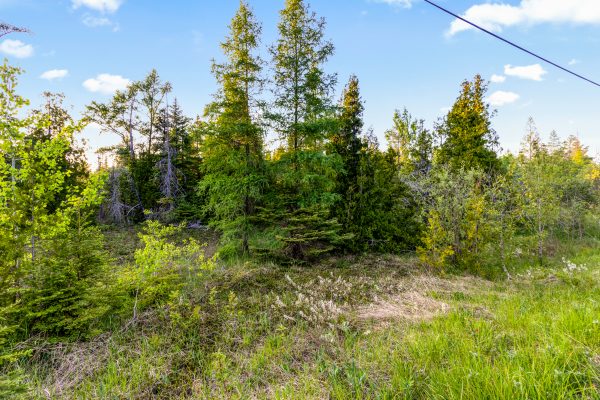 UNIT 39 TAMARAC ROAD