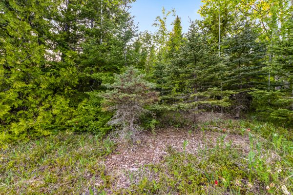UNIT 39 TAMARAC ROAD