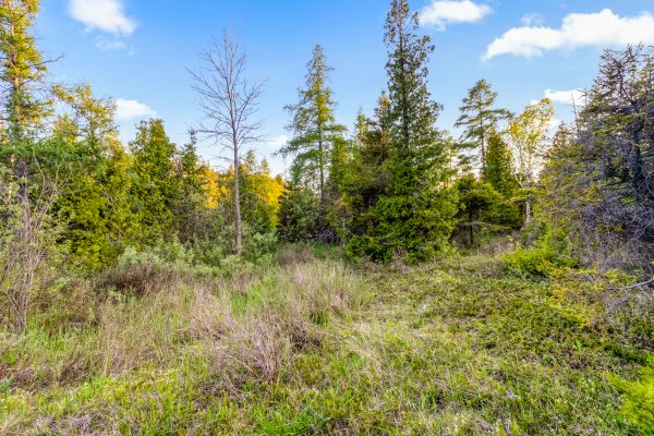 UNIT 39 TAMARAC ROAD
